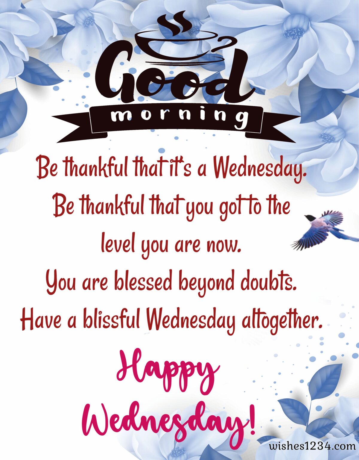 100+ Wednesday quotes, wishes, blessings, messages and happy hump day
