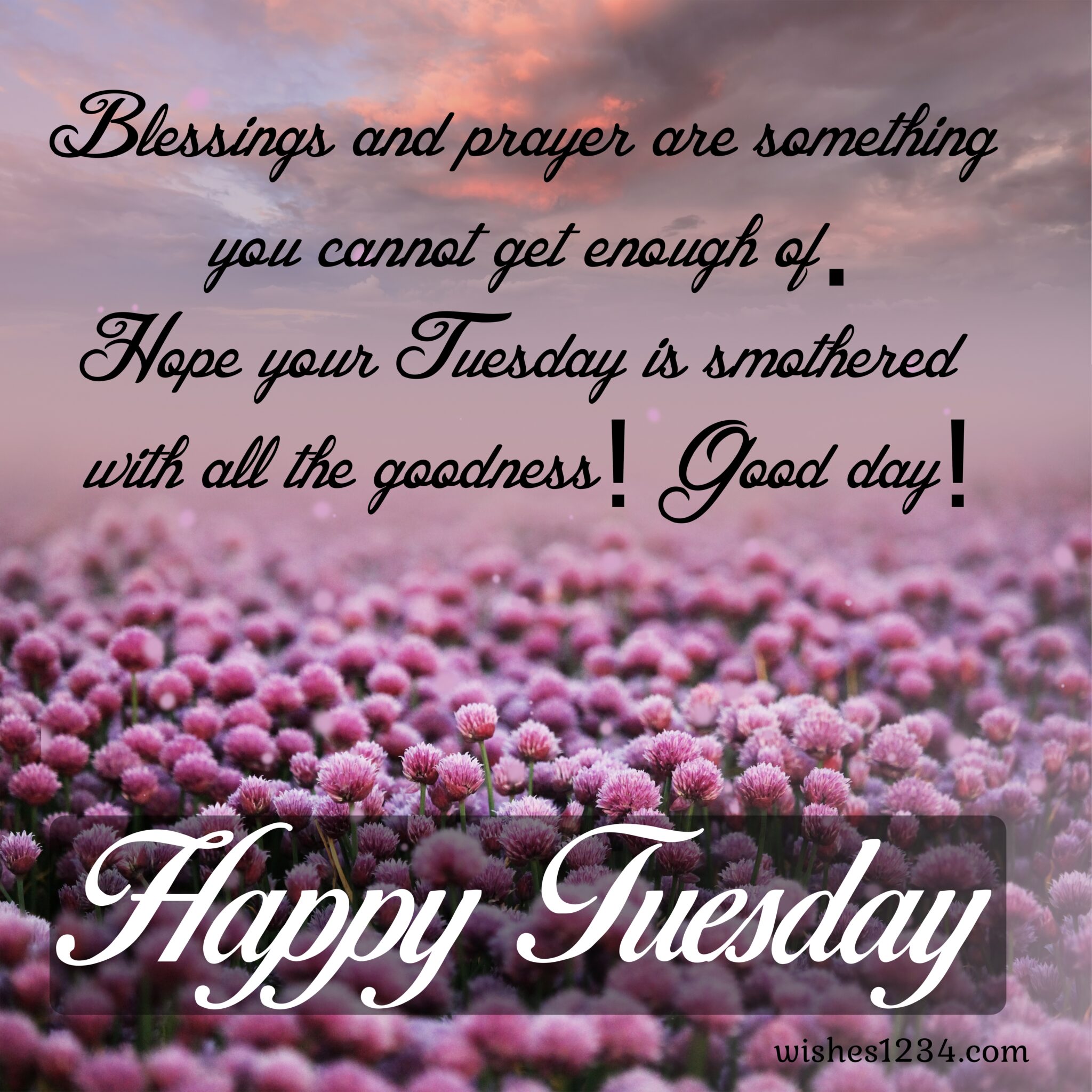 150+ Tuesday Quotes, Blessings and Images To Unlock Your Motivation