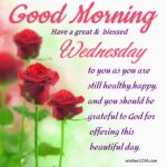 100+ Wednesday quotes, wishes, blessings, messages and happy hump day