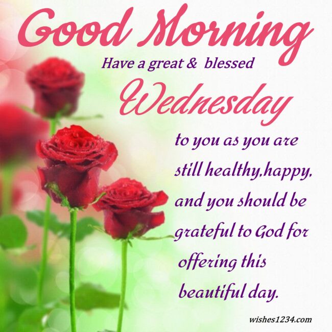 100+ Wednesday quotes, wishes, blessings, messages and happy hump day