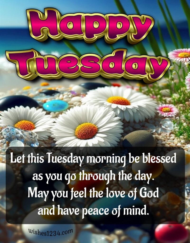 Tuesday blessing quote with white daisy flowers on beach, Tuesday wishes Images.