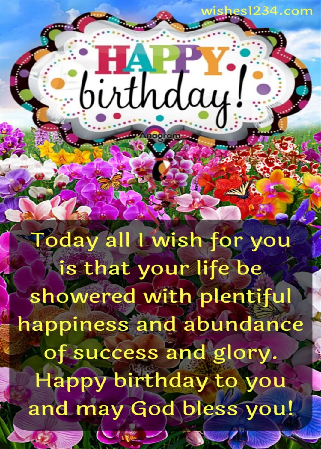 Birthday wishes with Orchid garden, Happy Birthday Friend.