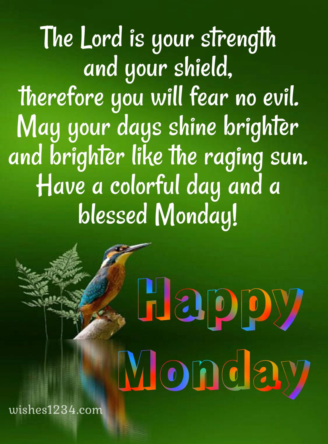 Colourful bird on lake side with monday blessings, Monday blessings | Monday quote.