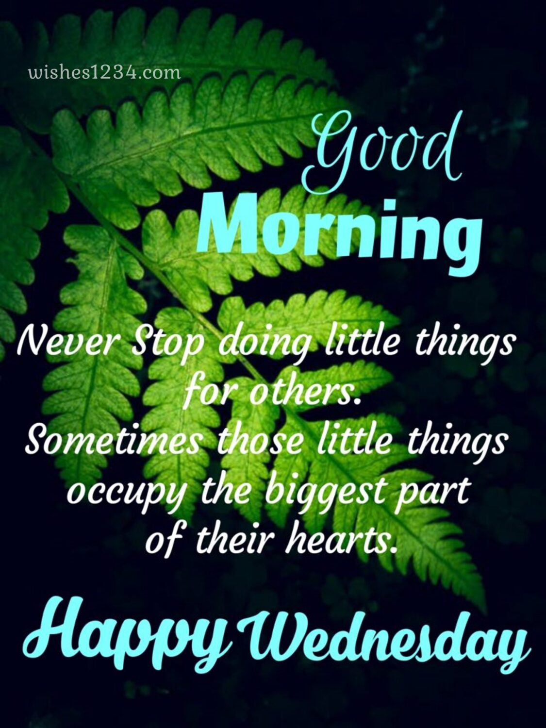 Fern leaf with wednesday quote, Happy Wednesday Images.