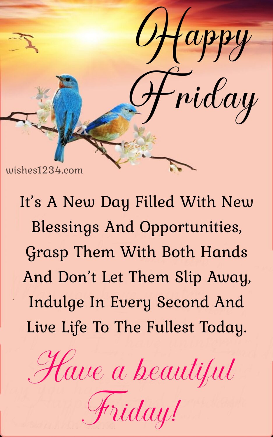 Friday blessings with two birds sitting on branch, Quotes about Friday