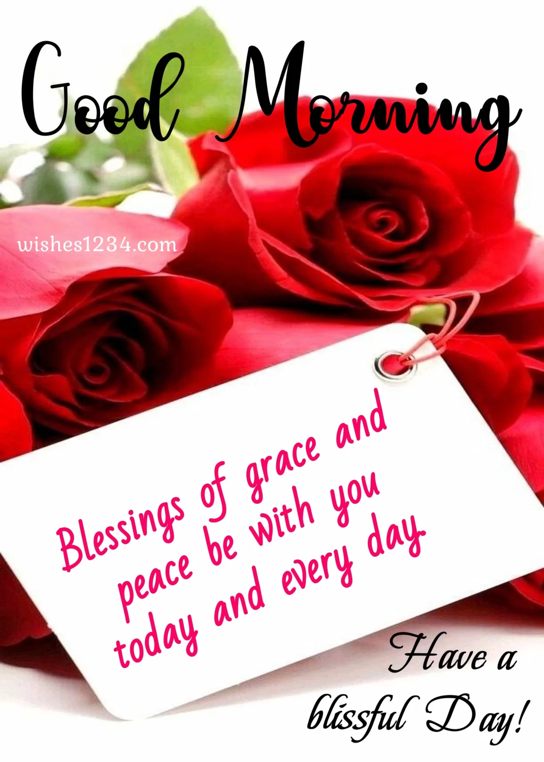 Good morning blessing with Rose flower postcard, Good morning blessings.