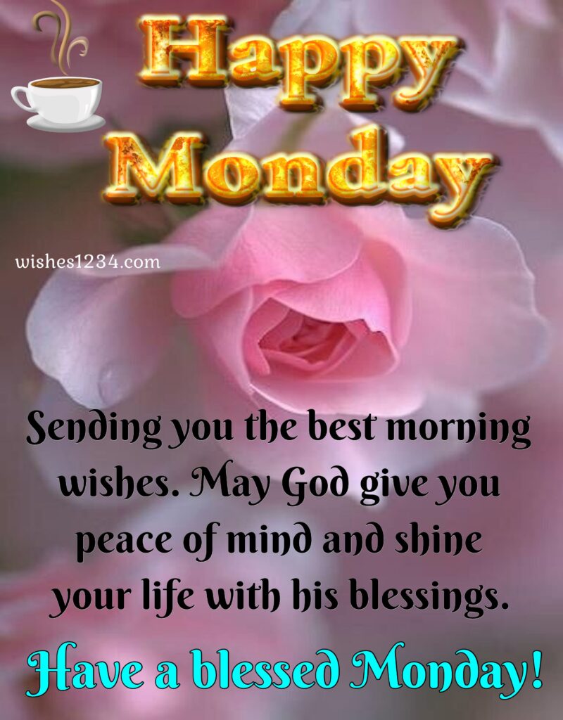 Happy monday with pink rose flower, Monday blessings | Monday quote.