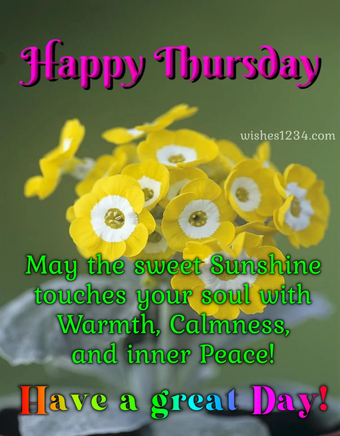Happy thursday with golden flee flowers, Thursday Blessings.