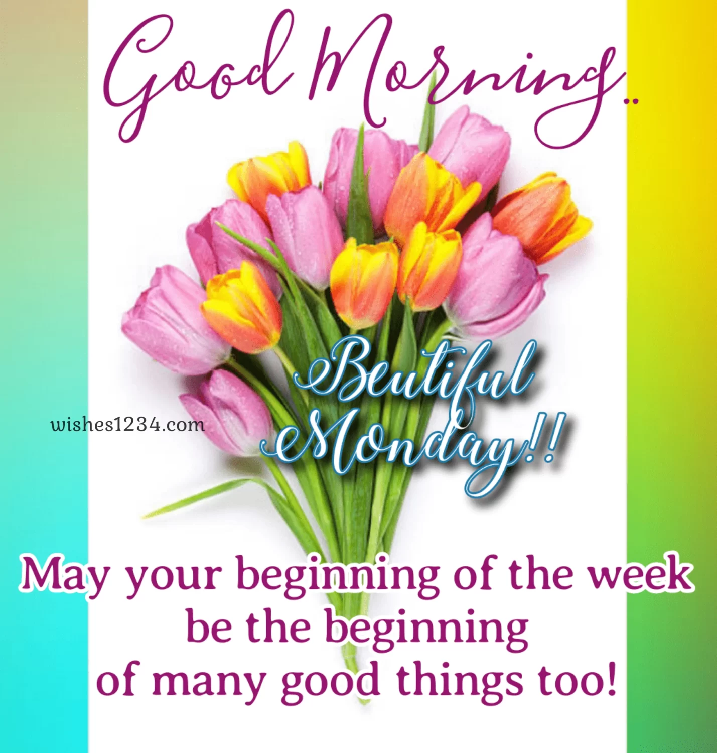 Monday greeting with Pink and yellow tulip flower bouquet, Good Monday morning.