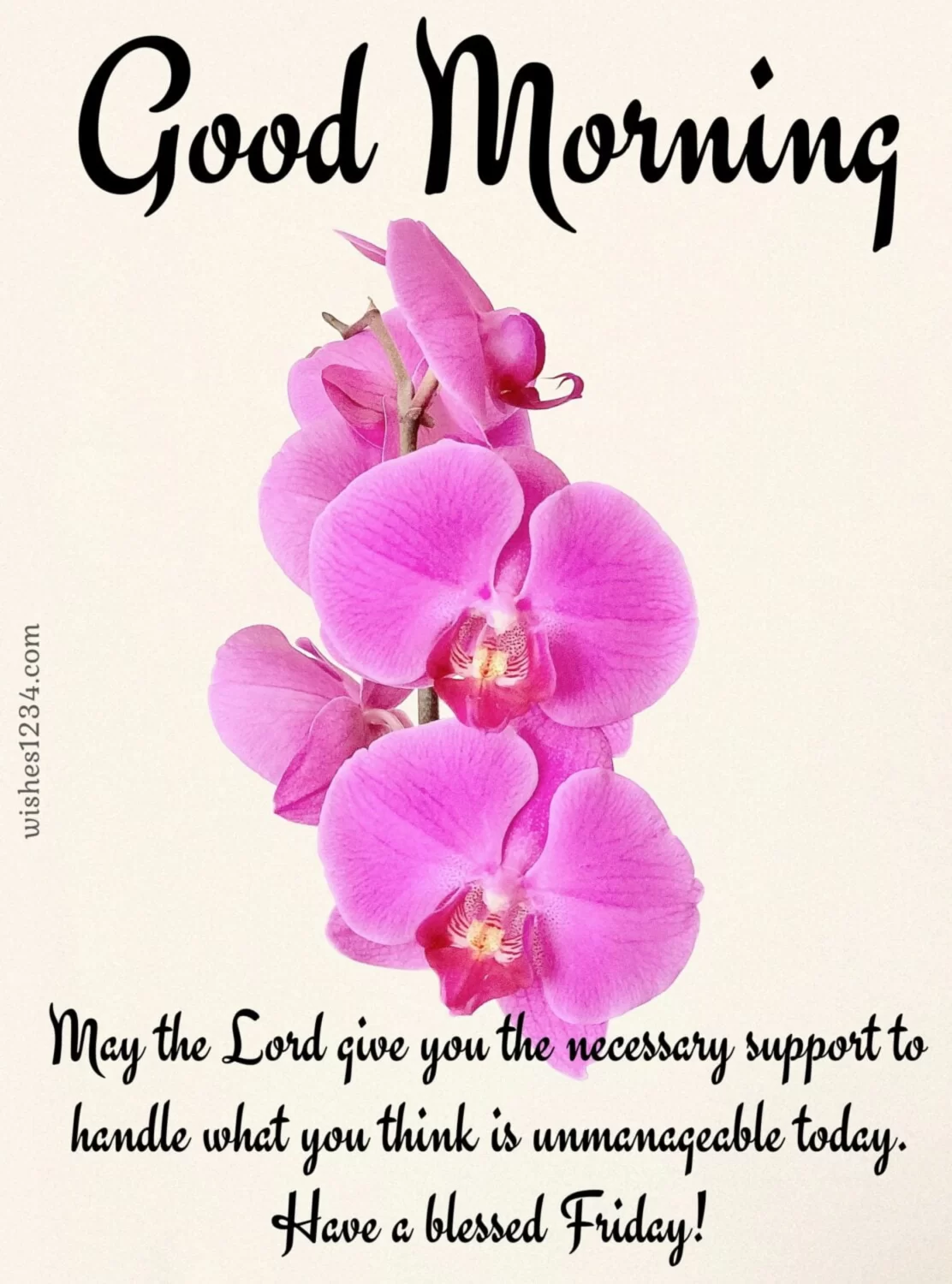 Morning quote with Pink Orchid, Friday Morning wishes.