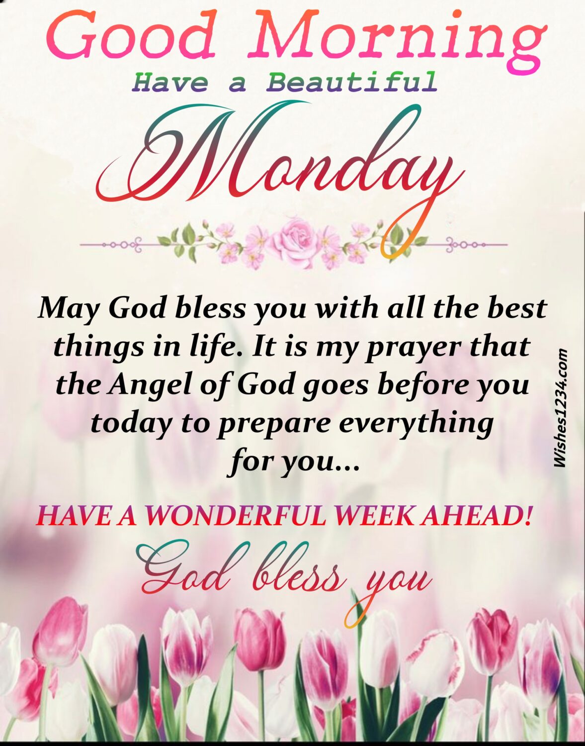 Pink tulips background, Monday blessings | Monday quote.