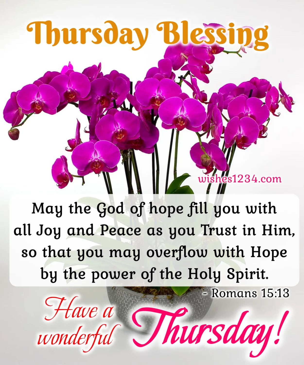 Thursday blessings with pink orchid flowers, Thursday Blessings.