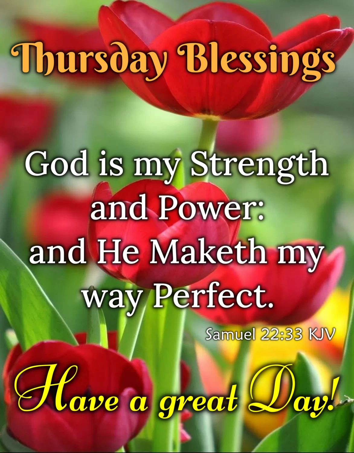 Thursday blessings with red tulips, Happy Thursday quotes.