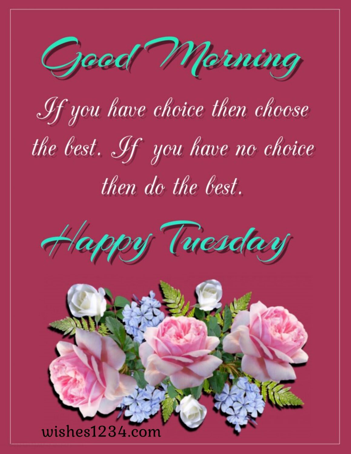 Tuesday quote with Bunch of three pink and white roses.