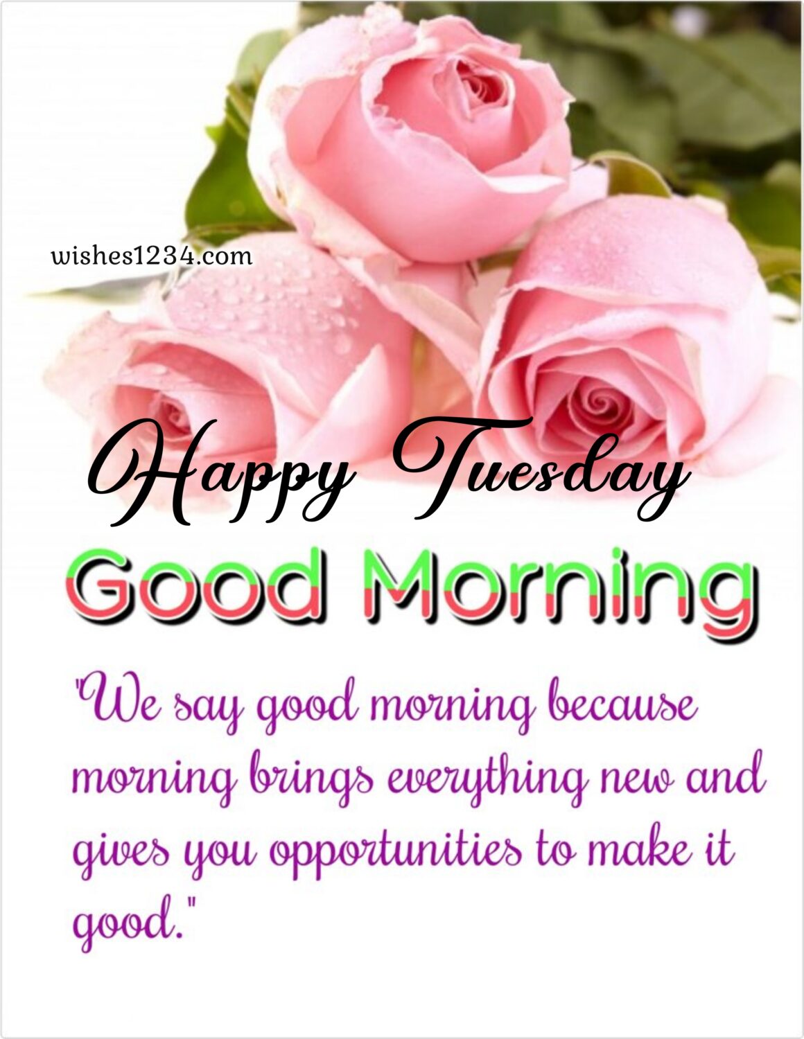 Tuesday wishes with Three rose flowers bunch, Inspirational Tuesday Blessings.