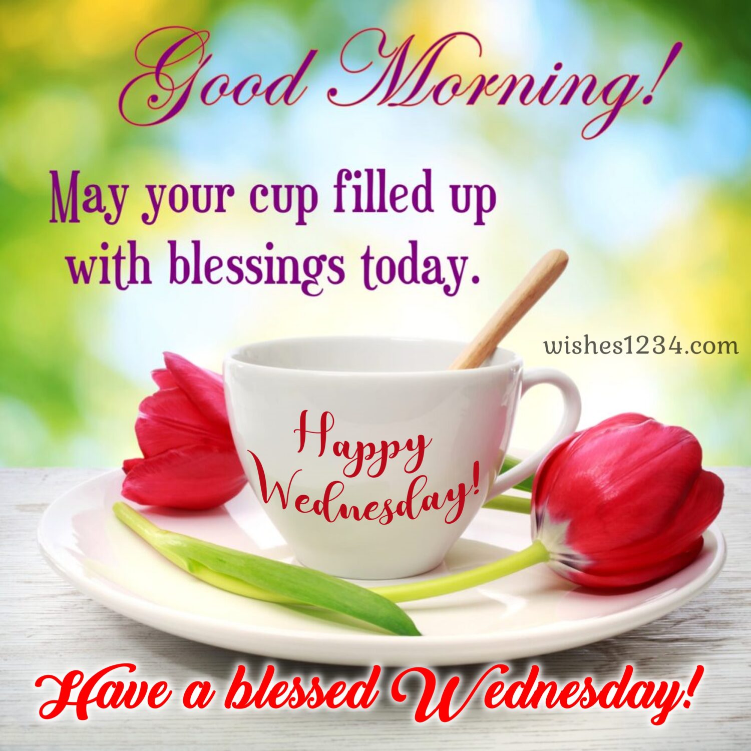 Two tulip flowers with cup, Happy Wednesday Images.