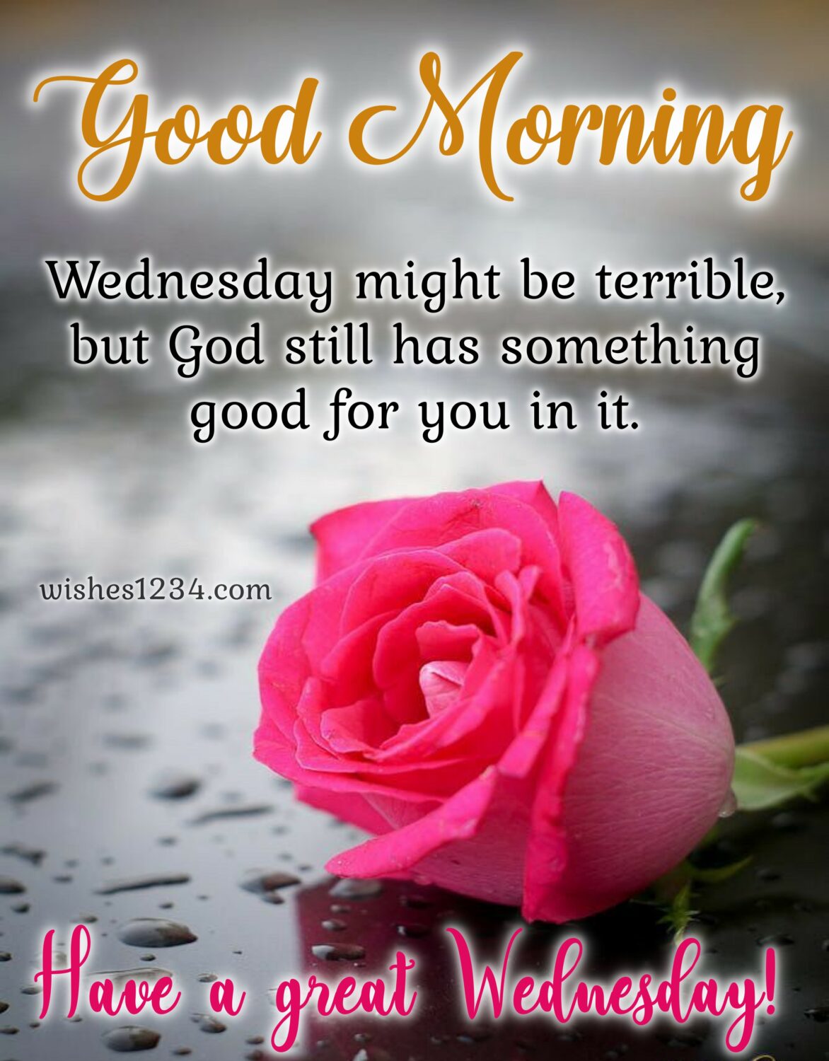 Wednesday wishes with red rose flower, Wednesday Morning Quotes.