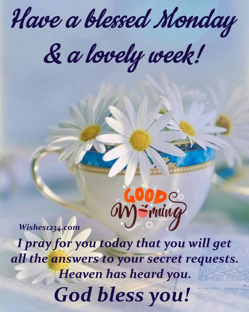 White daisy flowers in a white cup, Happy Monday Quotes | Monday morning quotes.