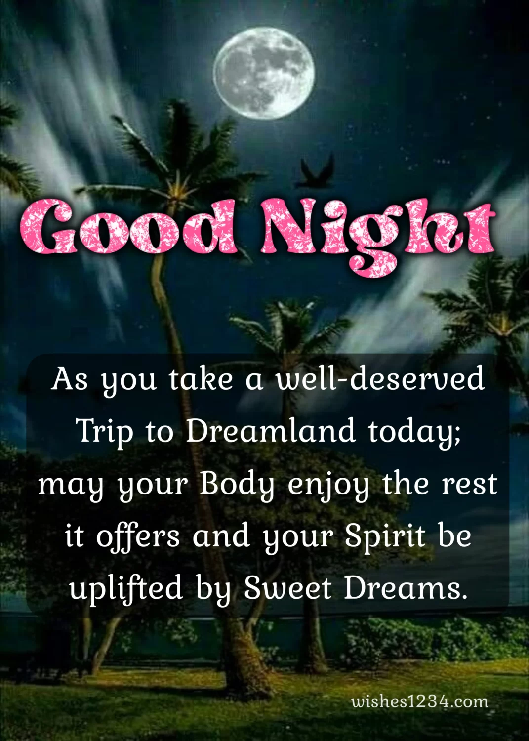 Good night quote with coconut tree in background, Good Night Messages.