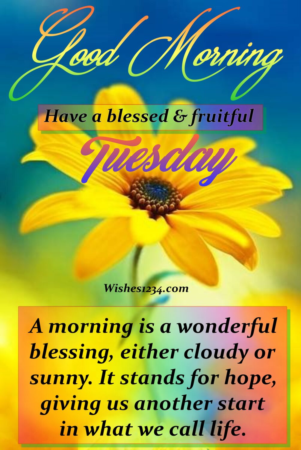 Tuesday Quotes, Yellow daisy flower background.