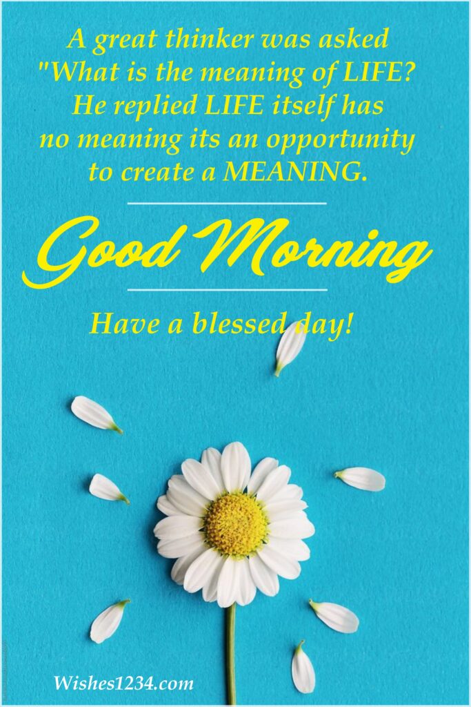 Good Morning Positive Quotes with Daisy flower with blue background