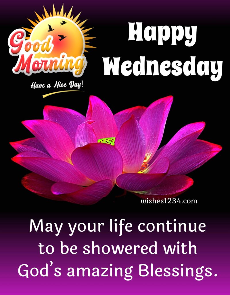 Happy wednesday image with lotus flower, Wednesday Images. 