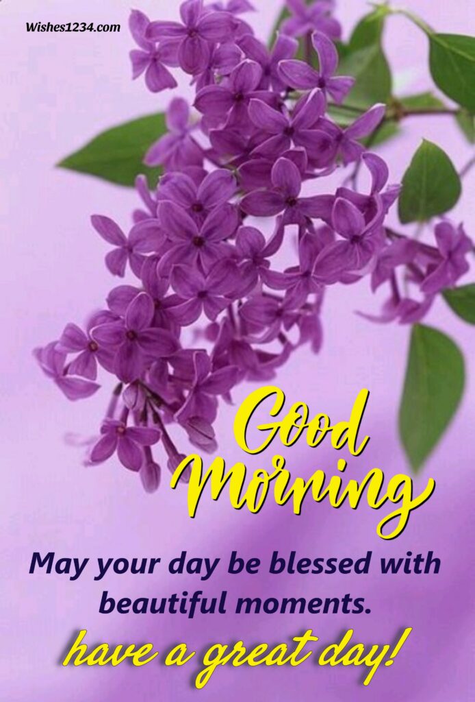 Good Morning Beautiful Quotes, Purple flowers wallpaper.