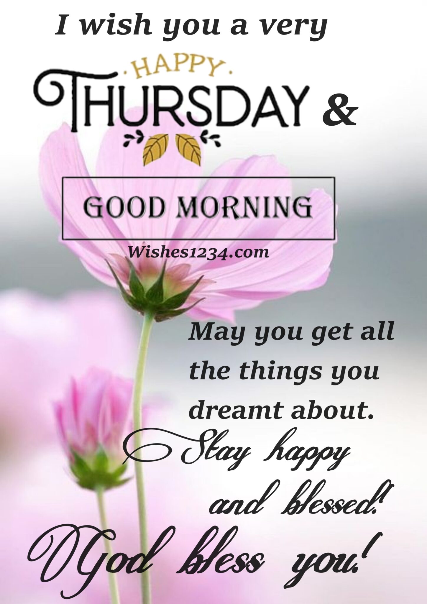 50+ Thursday morning quotes and Thursday blessings with images