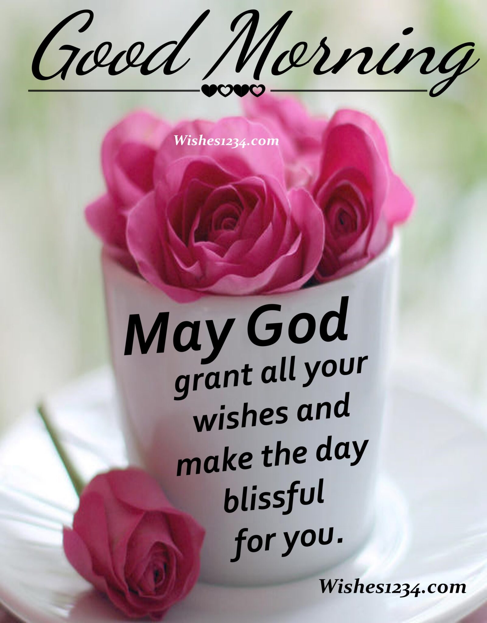 Morning Blessings Gif - 1vxbd7x