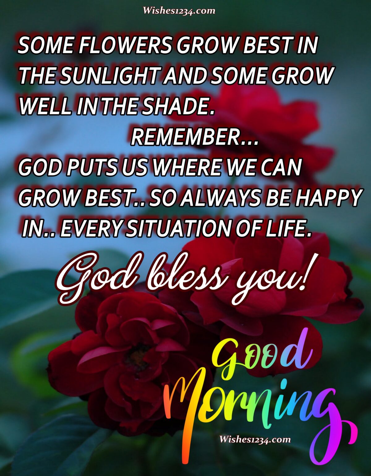 Good Morning Blessings And Prayers Good Morning Blessings And Prayers