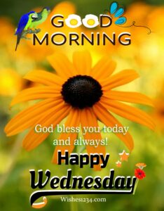 Best 100+ Wednesday Blessings Images and Quotes