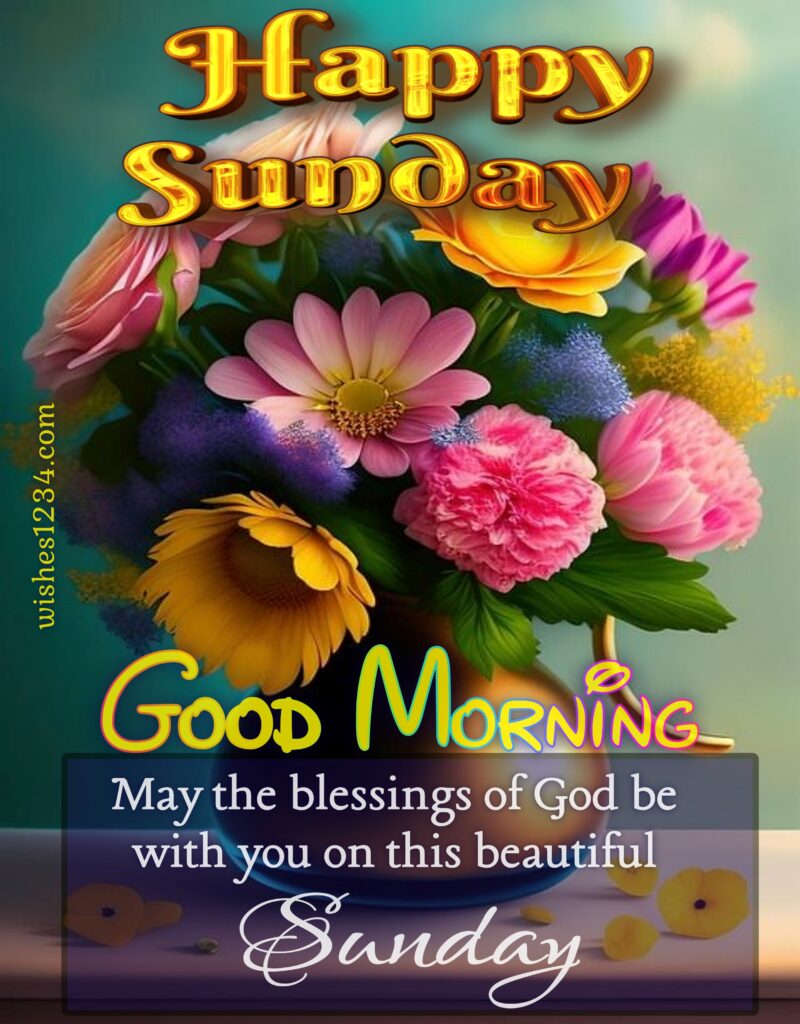 Blessed Sunday images, Beautiful flowers in pot wallpaper.