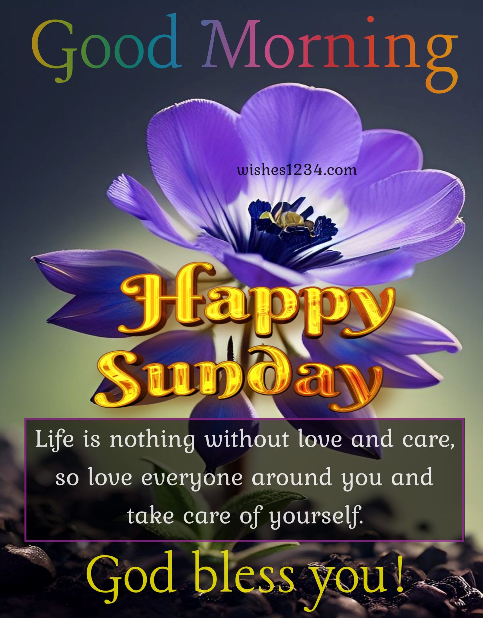 100 Happy Sunday Wishes Blessings And Quotes