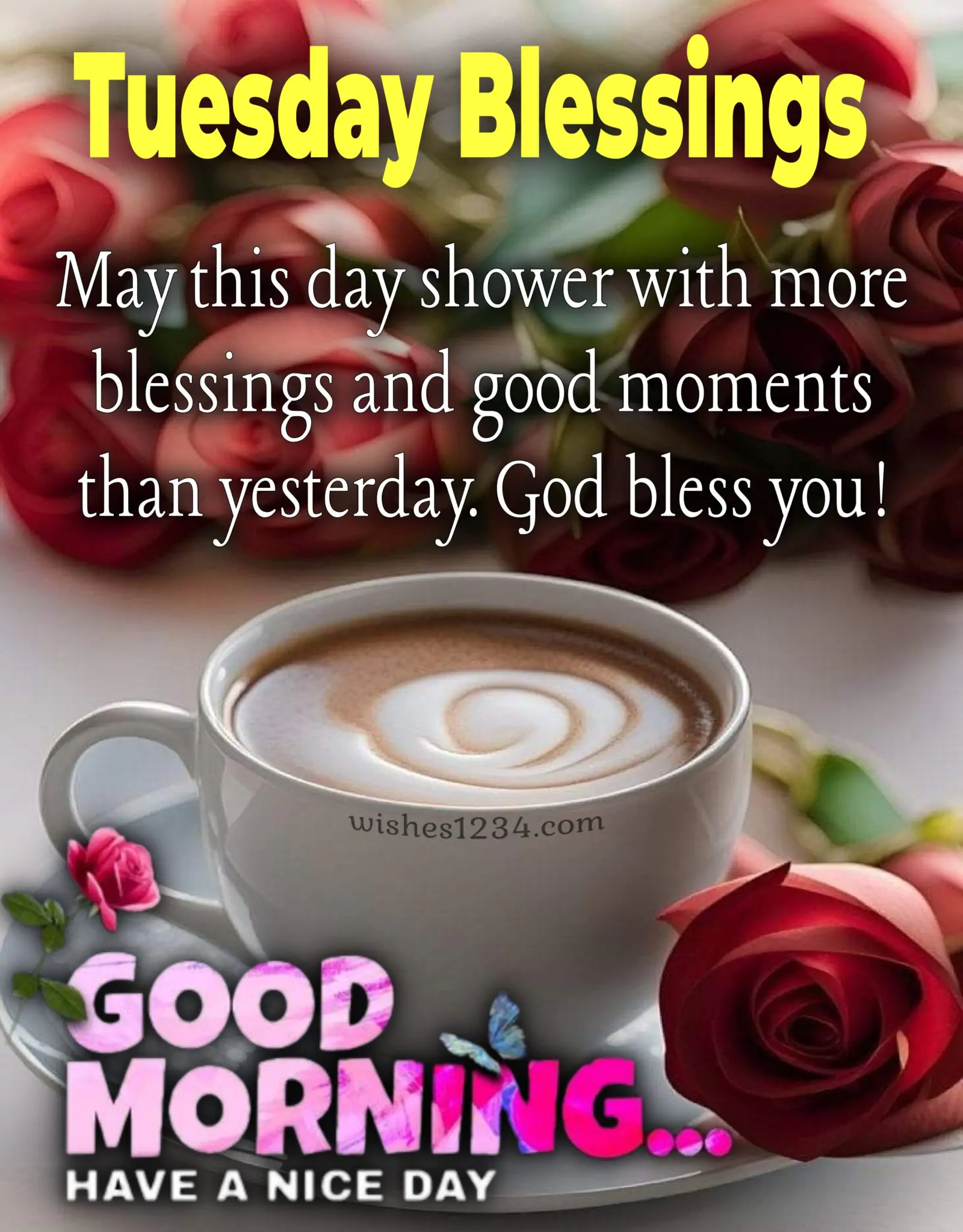 100+ Happy Tuesday Quotes and Blessings with beautiful Images
