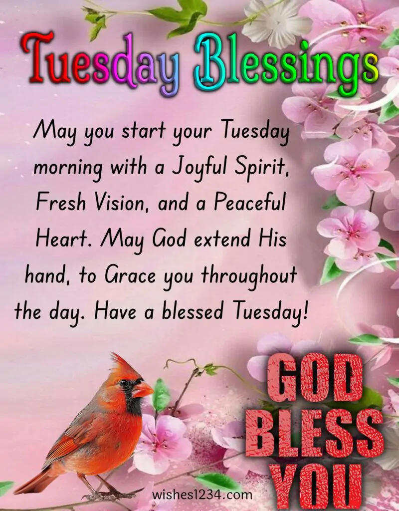 Tuesday blessings image with orchid flowers.