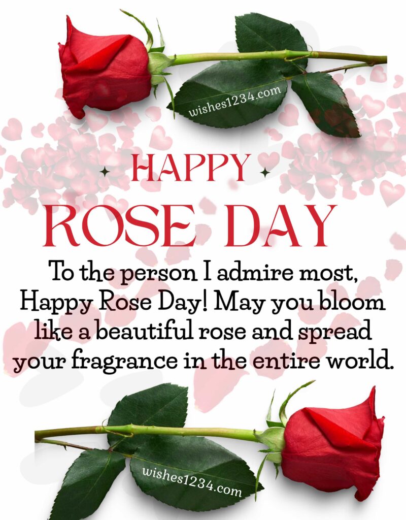 Rose Day Greetings.