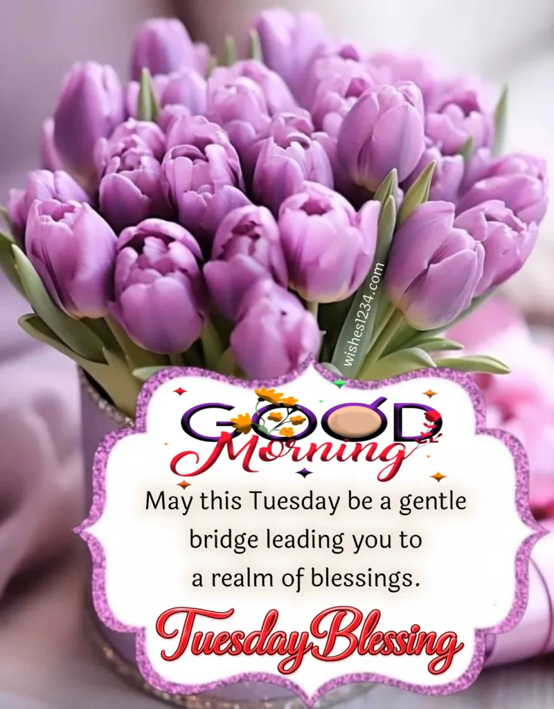 Happy Tuesday good morning image
