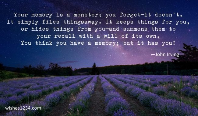 Lavender garden, Motivational Quotes | Inspirational Quotes of the Day.