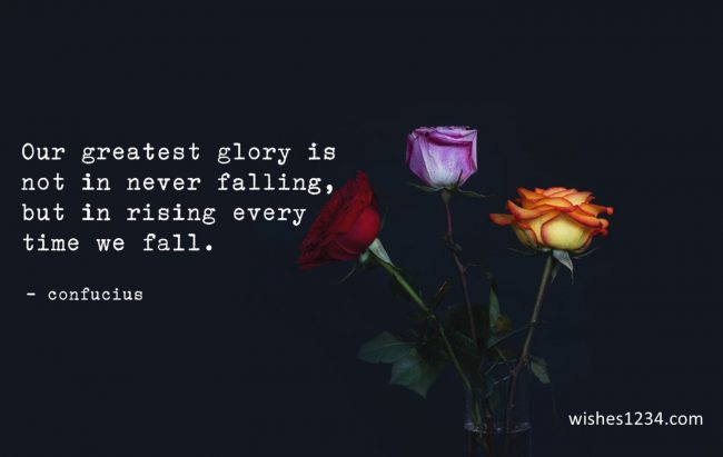 Three roses in dark, Motivational Quotes | Inspirational Quotes of the Day.